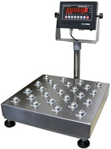 Stainless Steel Bench Scales